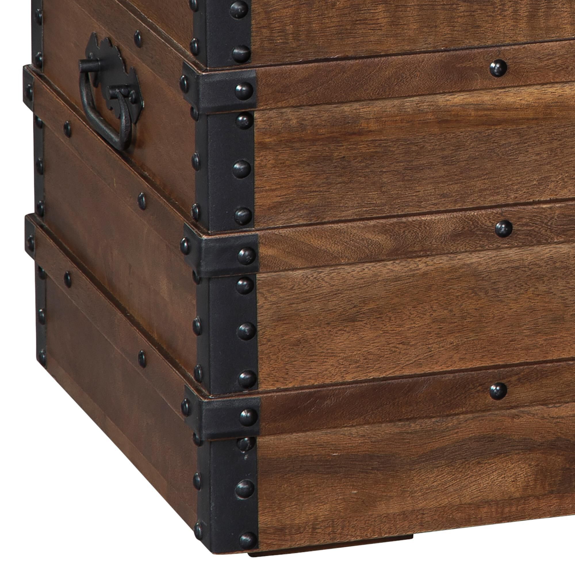 Ashley Kettleby Storage Trunk in Brown