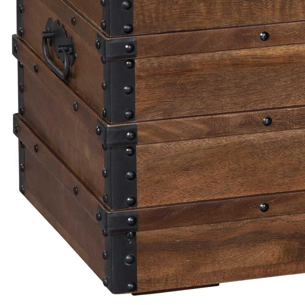 Ashley Kettleby Storage Trunk in Brown, , large