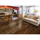 Paramount Barnwood Select Shiplap Hickory Hardwood, , large