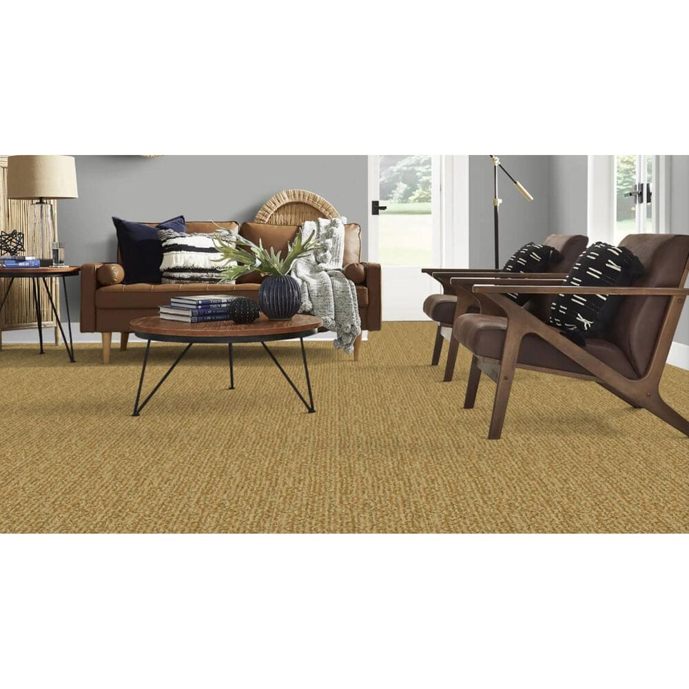 Masland Mesa Verde Carpet in Imperial, , large