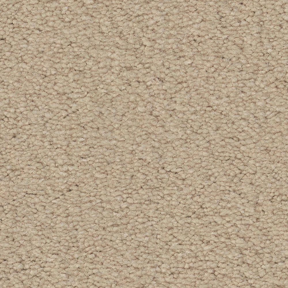 Anderson Tuftex Finery Carpet in Ecru, , large