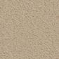 Anderson Tuftex Finery Carpet in Ecru, , large