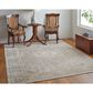 Feizy Celene 39KXF 7"9" x 10" Beige and Gray Area Rug, , large