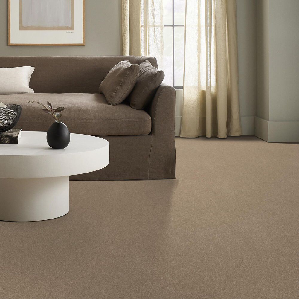 Shaw Hard At Play II Carpet in Worn Path, , large