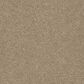 Dream Weaver Luxor II Carpet in Sawgrass, , large