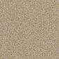 Masland Sandy Beach Carpet in Hideaway, , large