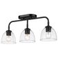 Golden Lighting Roxie 3-Light Bath Vanity in Matte Black, , large