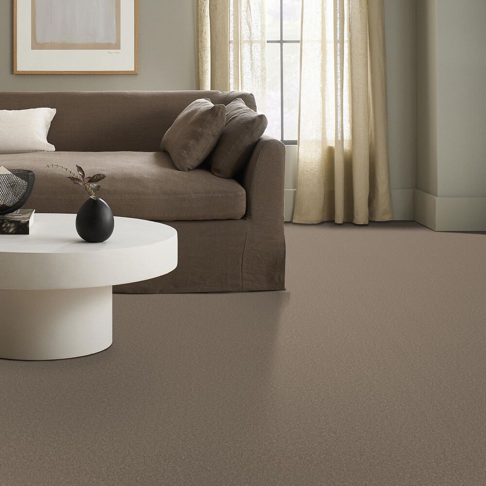 Anderson Tuftex Enduring Charm Carpet in Tuffet, , large