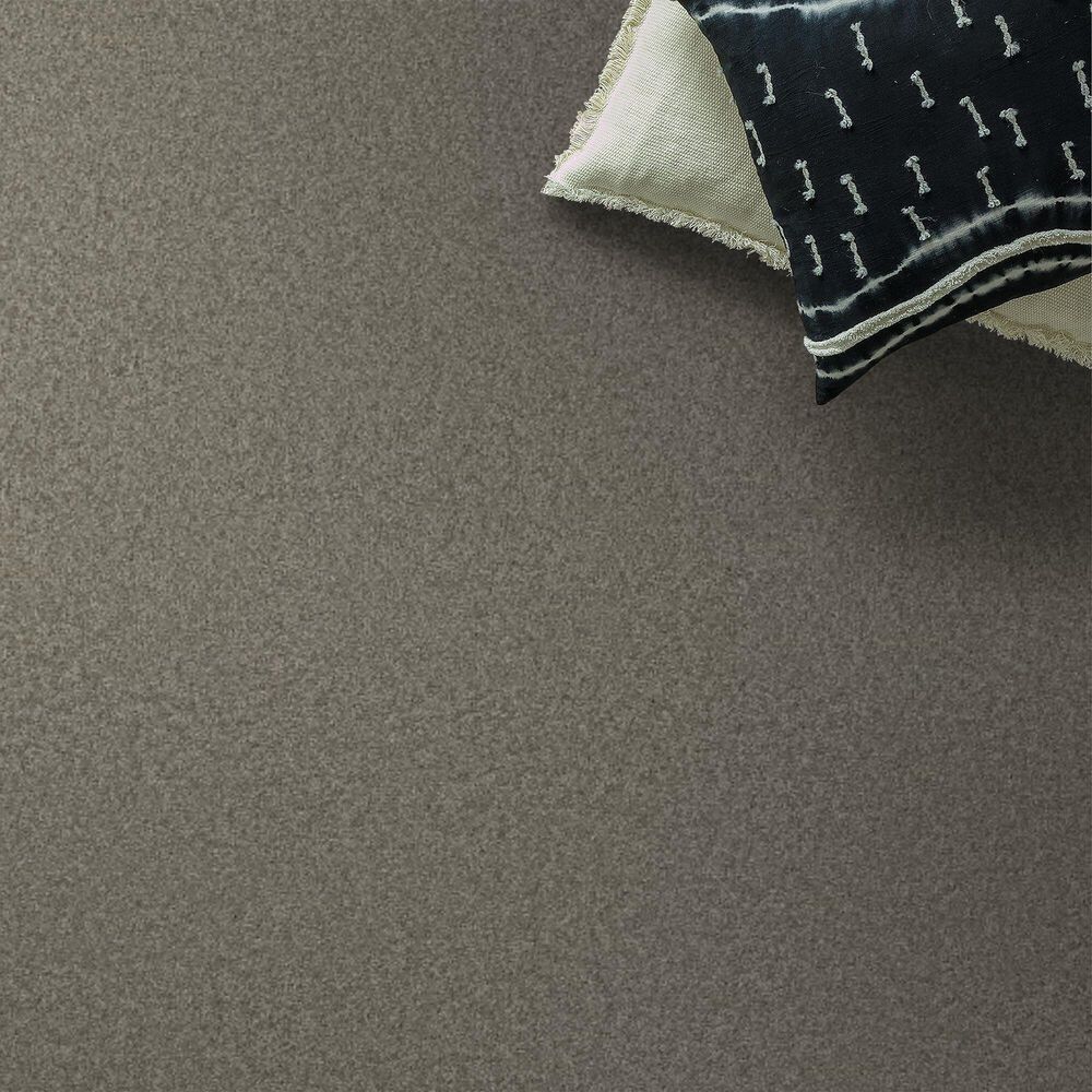 Anderson Tuftex Enchanting Carpet in Lunar Rock, , large
