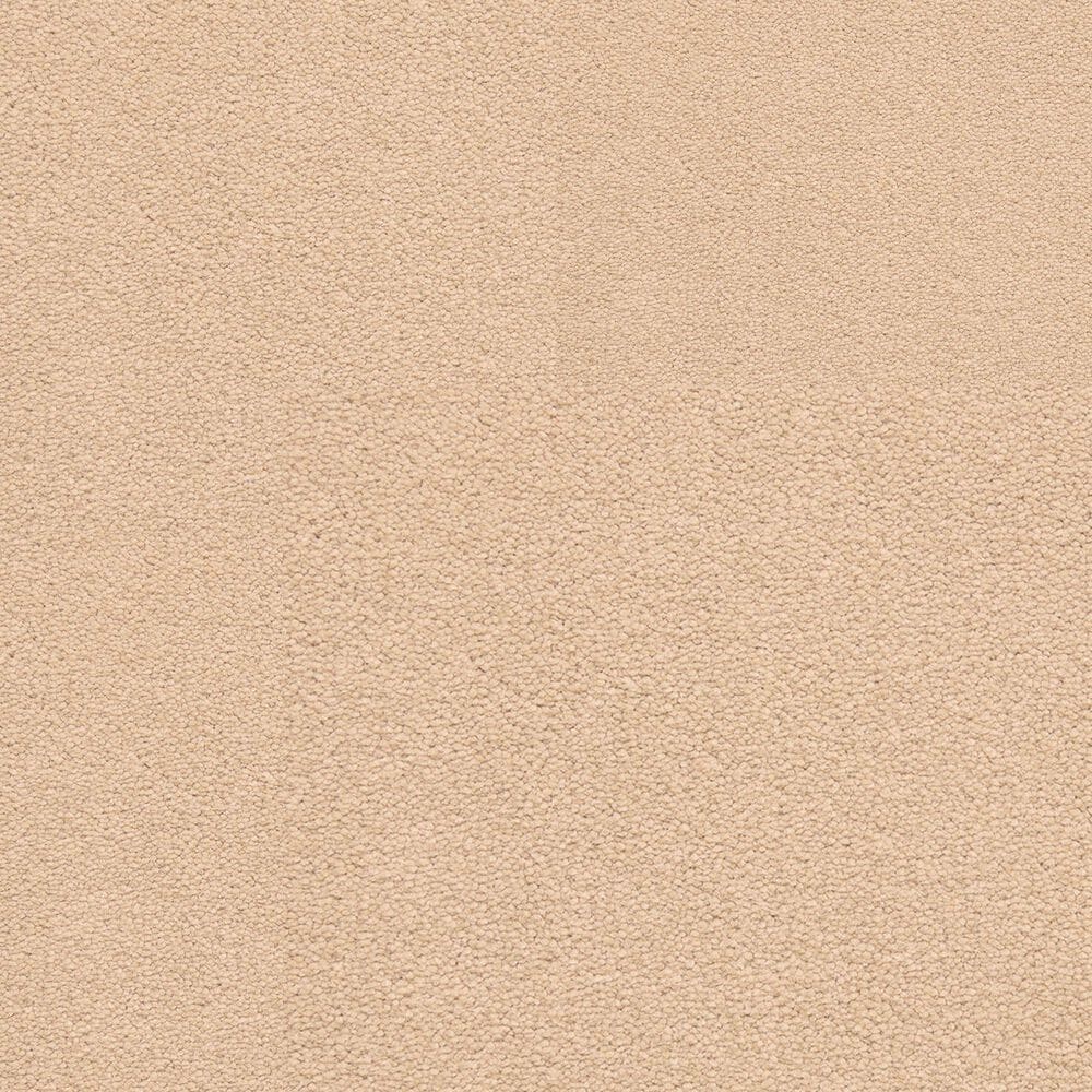 Dixie Home Neverland Carpet in Hillcrest, , large