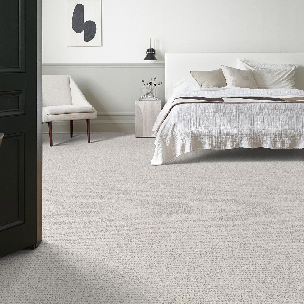 Anderson Tuftex Tangent Carpet in First Frost, , large