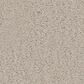 Anderson Tuftex Finery Carpet in Ice Formations, , large