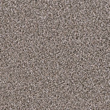 Dream Weaver Trendsetter I Carpet in Sageview, , large