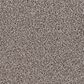 Dream Weaver Trendsetter I Carpet in Sageview, , large