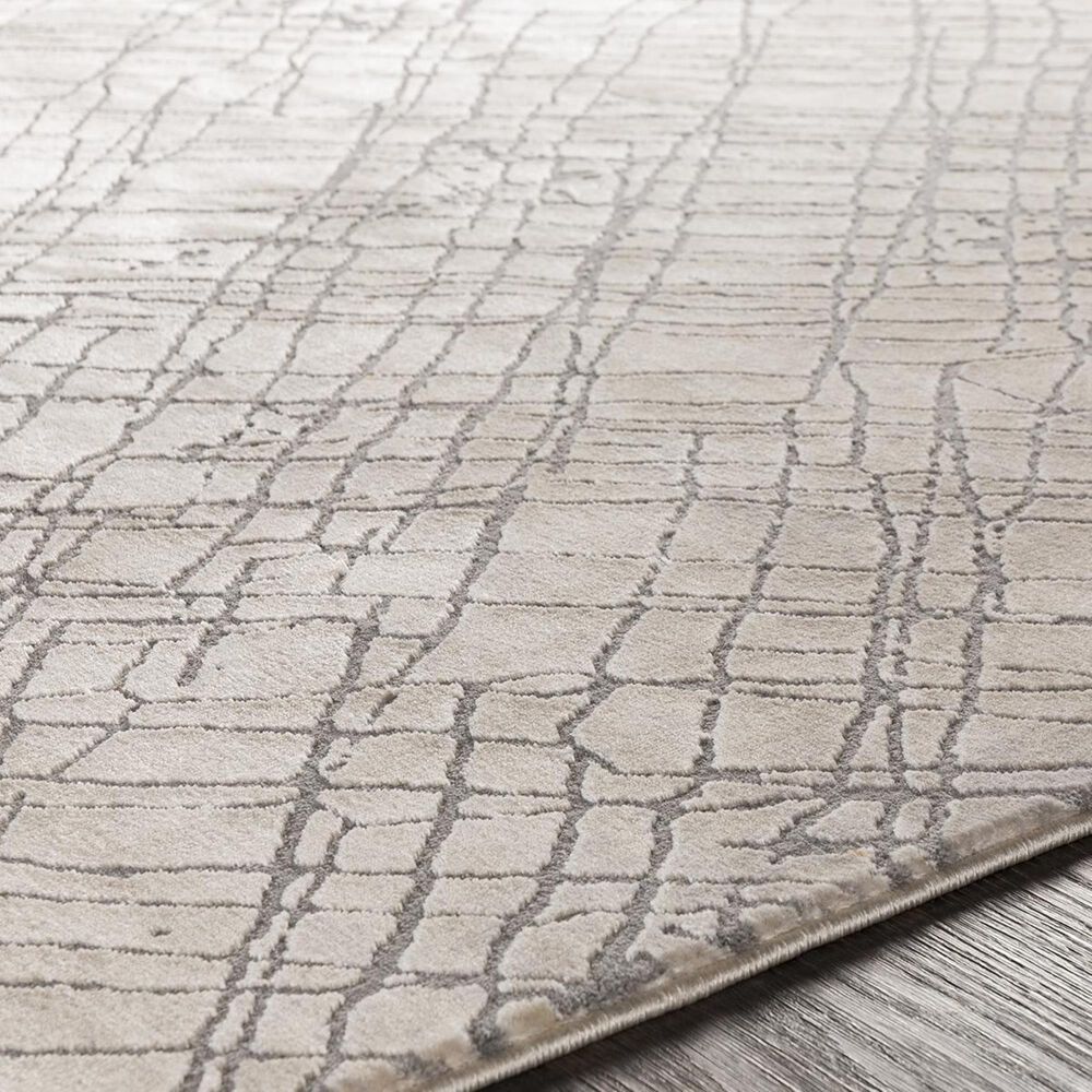 Surya Tibetan TBT-2314 7&#39;10&quot; x 10&#39;3&quot; Gray, Cream and Taupe Area Rug, , large