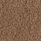 Anderson Tuftex Luxe Feel I Carpet in Radiance, , large