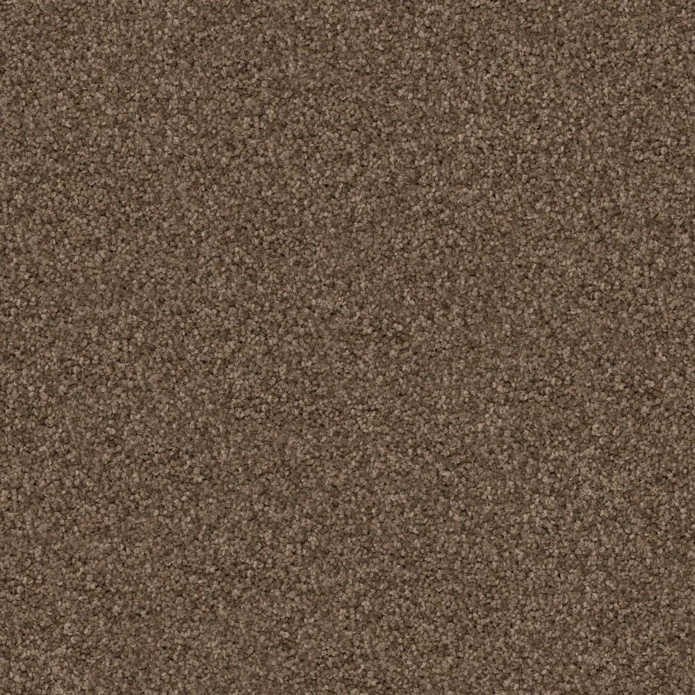 Dixie Home Guard Carpet in Basset, , large