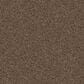 Dixie Home Guard Carpet in Basset, , large