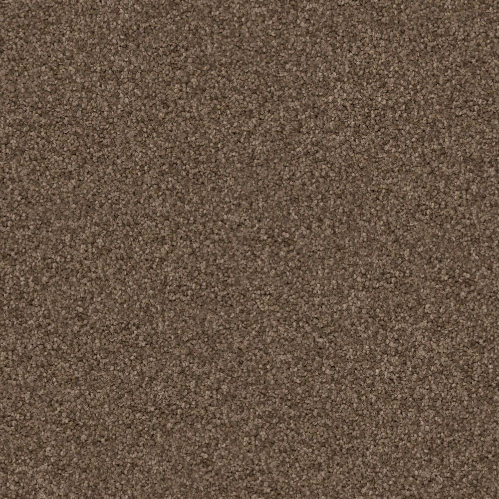 Dixie Home Guard Carpet in Basset, , large