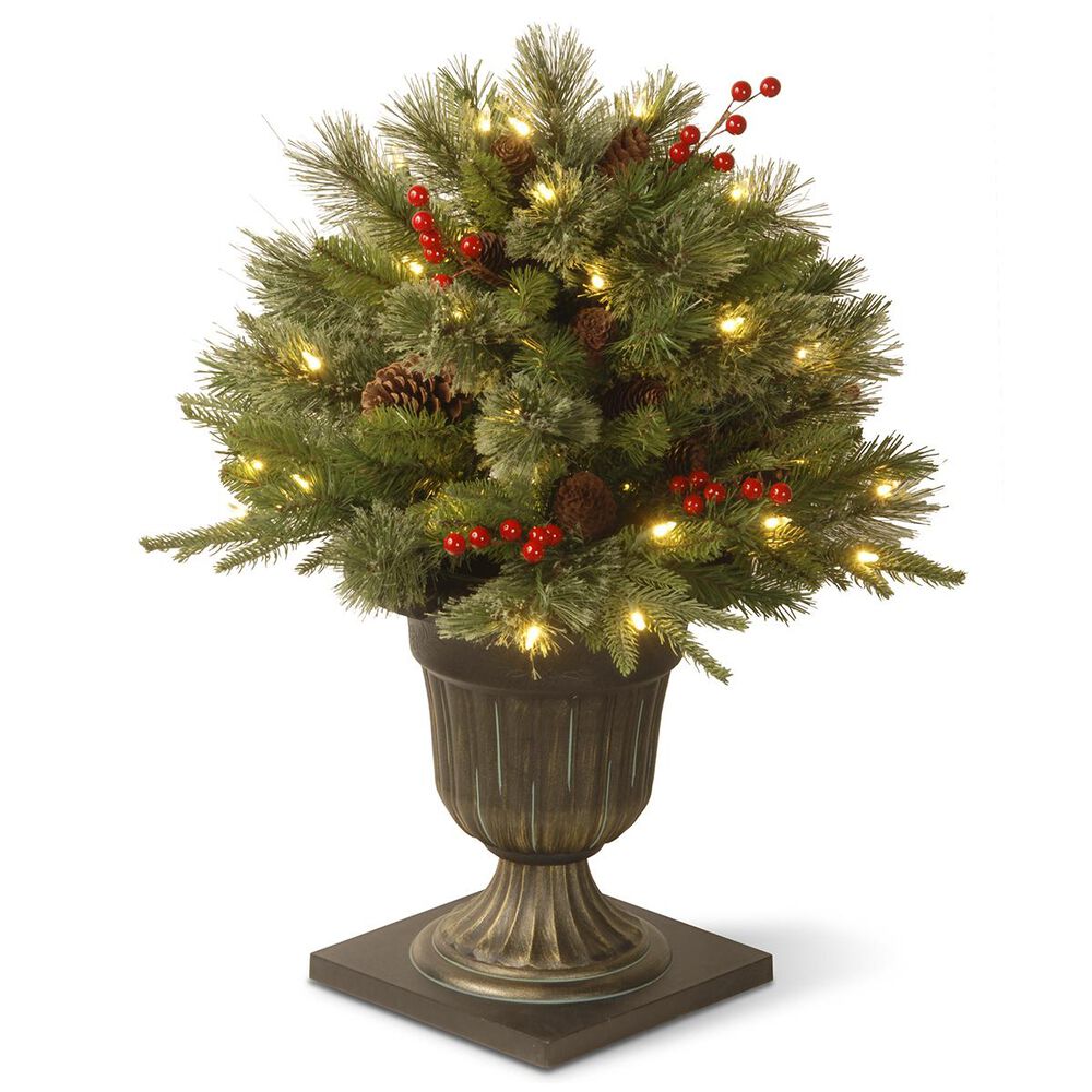 National Tree 24" Feel Real Colonial Porch Bush with Cones, Red Berries & 50 White Lights, , large