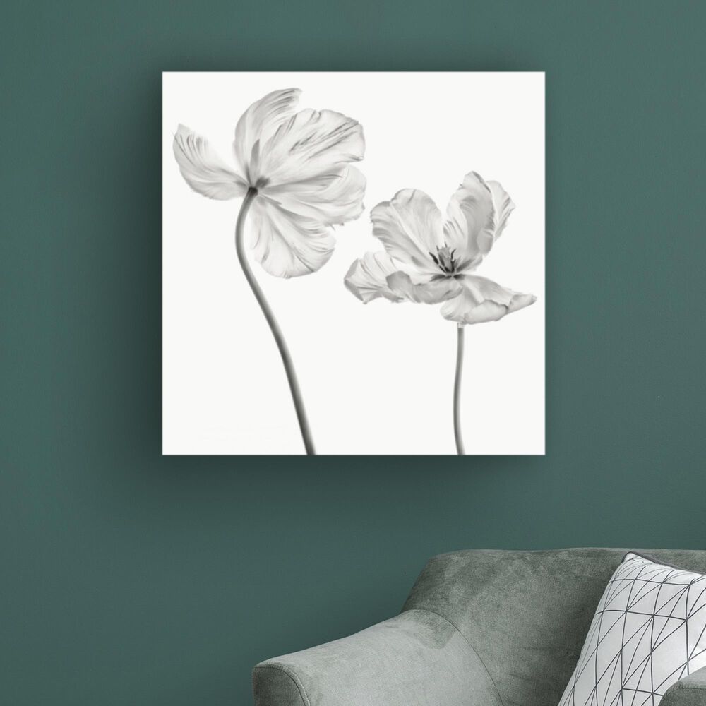 Timberlake Lotte Gronkjar &#39;Same Tulip : Front- And Back View&#39; 24&quot; x 24&quot; Canvas Art, , large