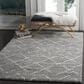 Safavieh Arizona Shag ASG743D 10" x 14" Grey and Ivory Area Rug, , large