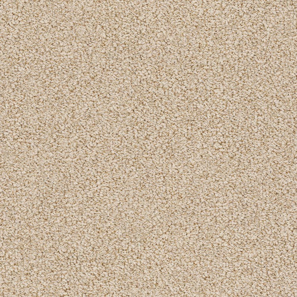 Anderson Tuftex Bali Carpet in Summertime, , large