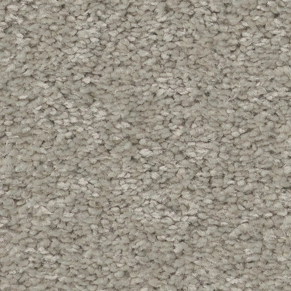 Shaw Way To Go III Carpet in Taupe Tone, , large