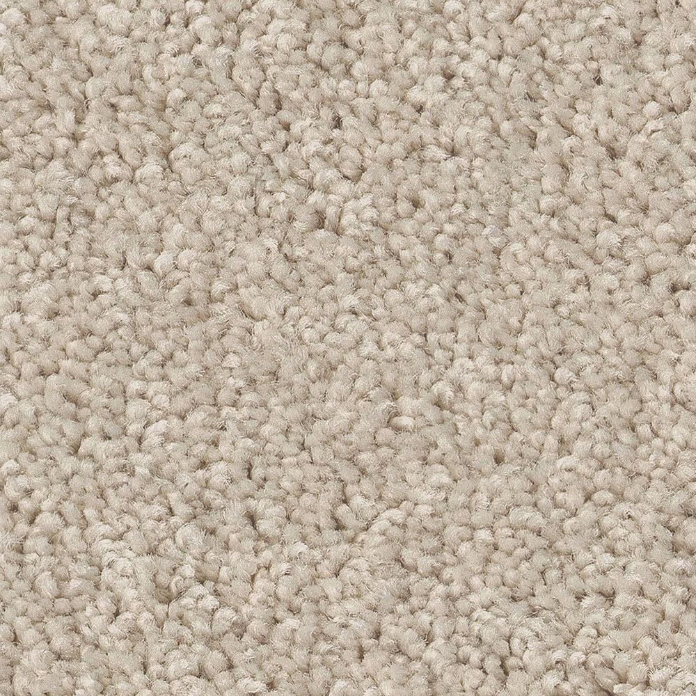 Shaw Las Cruces Carpet in Fresh Perspective, , large