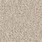 Shaw Las Cruces Carpet in Fresh Perspective, , large