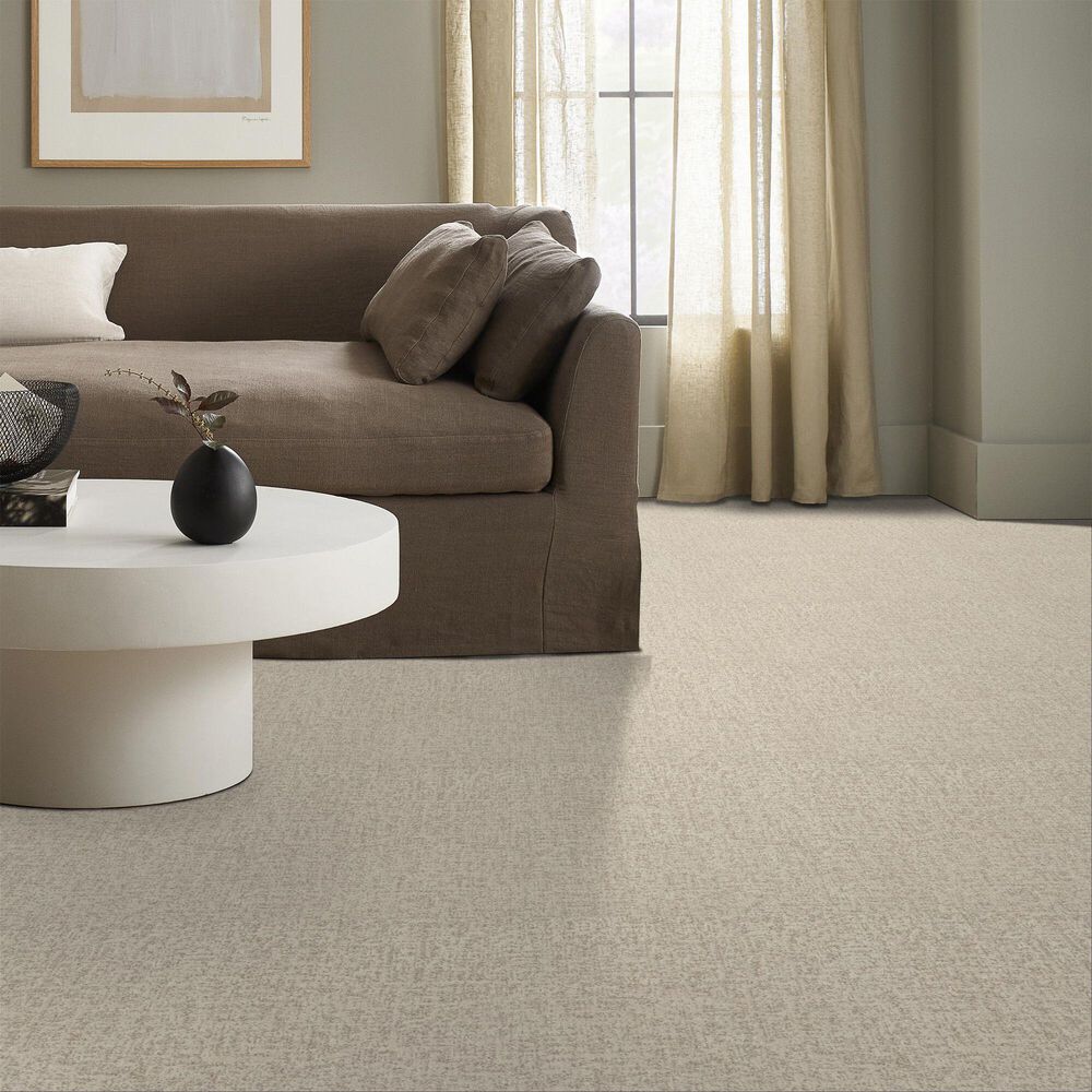 Shaw Home Within Carpet in Natural, , large