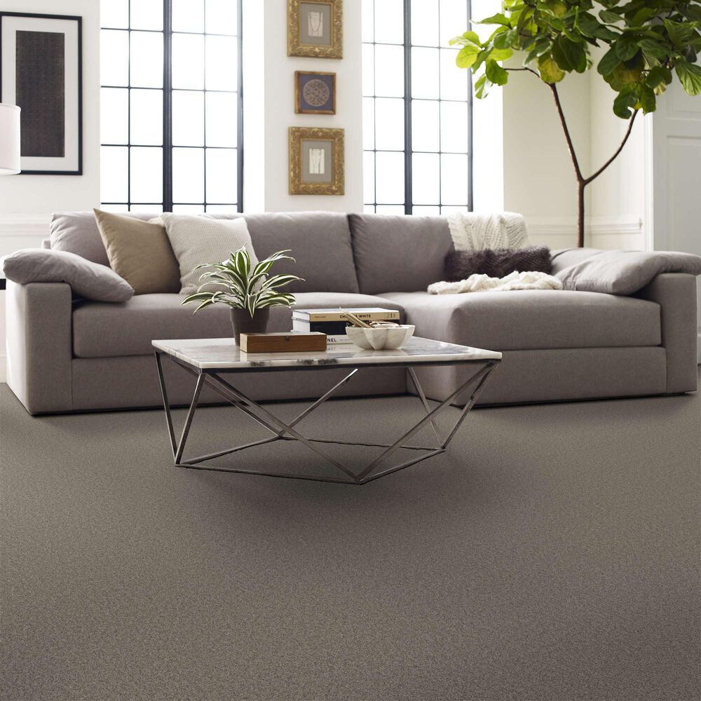 Shaw Del Rio I Carpet in Driftwood, , large