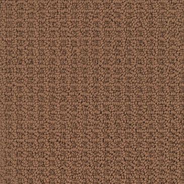 Masland Beach Life Carpet in Fireside, , large