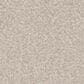 Phenix Canvas I Carpet in Poplin, , large