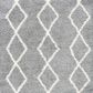 Safavieh Venus Shag VNS682J 4" x 6" Grey and Ivory Area Rug, , large