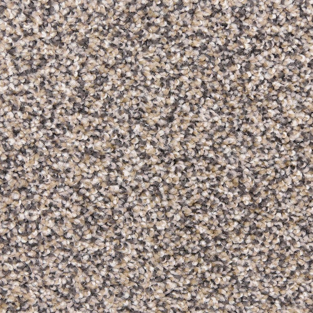Dixie Home Simplicity Carpet in Yosemite, , large