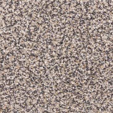 Dixie Home Simplicity Carpet in Yosemite, , large