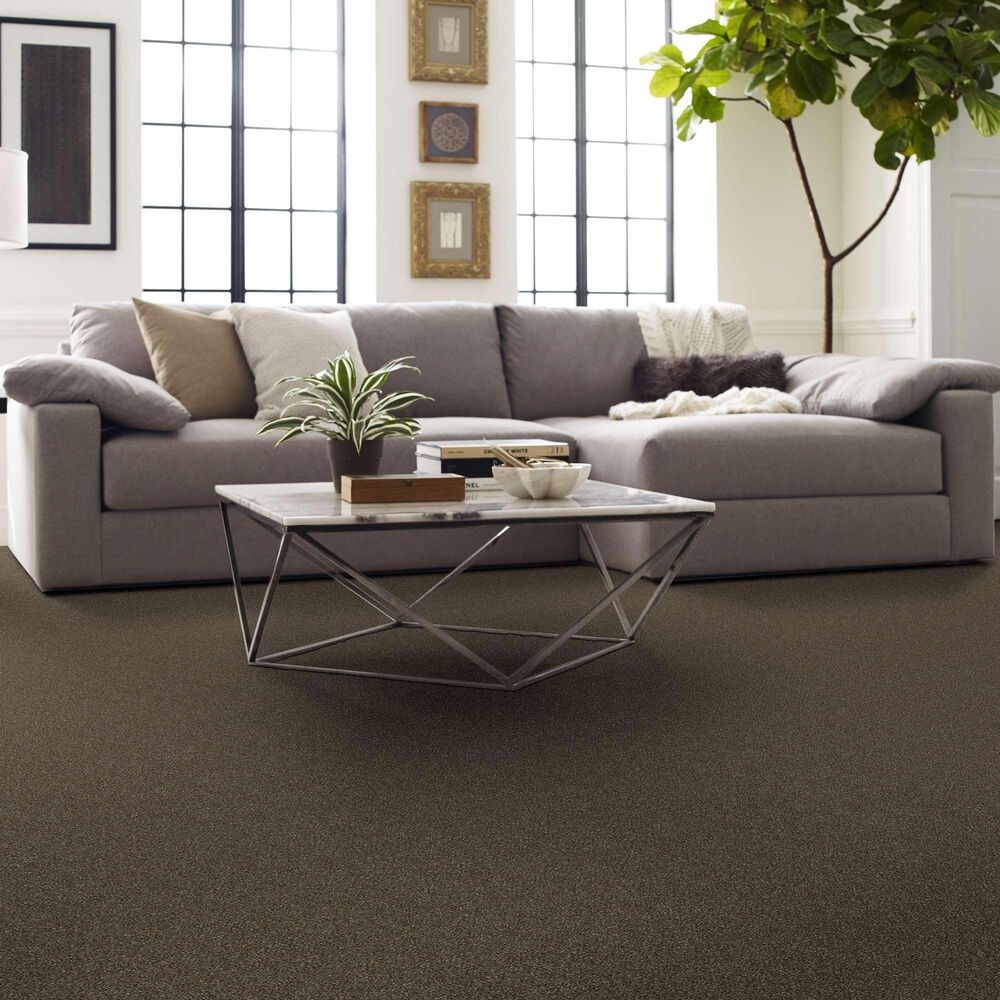 Shaw Without Limits II Carpet in Bountiful, , large