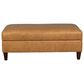 Fulton Home Brooklyn Storage Ottoman in Telluride Tan, , large