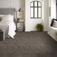 Anderson Tuftex Insightful Journey Carpet in Ridgeview, , large