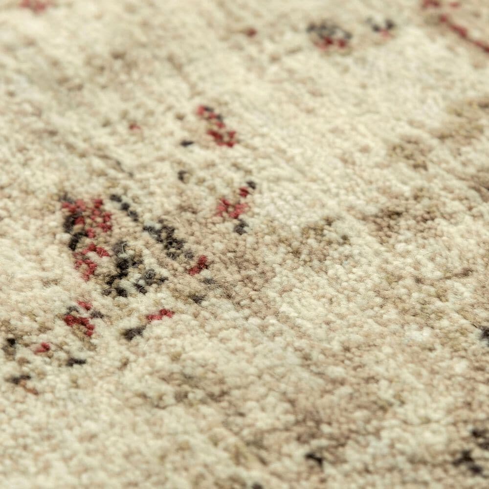 RIZZY Gossamer Beige, Brown and Rust 4' x 6' Area Rug, , large