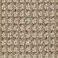 Anderson Tuftex Inspired Carpet in Rattan, , large