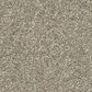 Phenix Paxton Carpet in High Fashion, , large