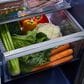 Maytag 20.8 Cu. Ft. Side-by-Side Refrigerator in Stainless Steel, , large