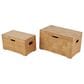 Maple and Jade 2-Piece Handmade Decorative Trunk Set in Brown, , large