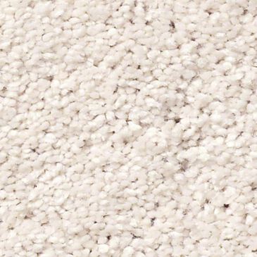 Anderson Tuftex Pawparazzi II Carpet in Barely Beige, , large