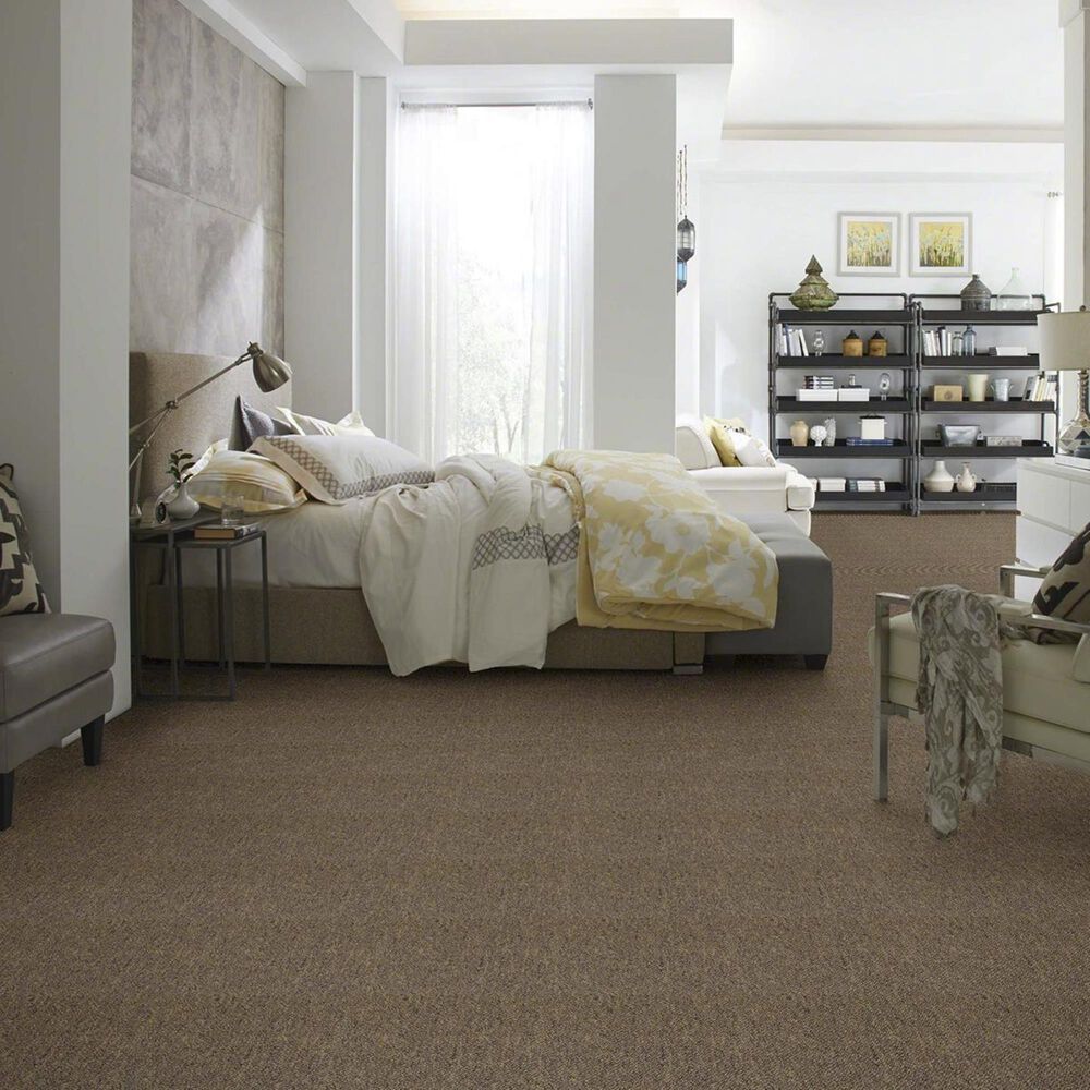 Shaw Capital III 24&quot; x 24&quot; Carpet Tile in Election, , large