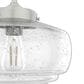 Hunter Saddle Creek 10" 1-Light Pendant with Clear Seeded Shade in Brushed Nickel, , large