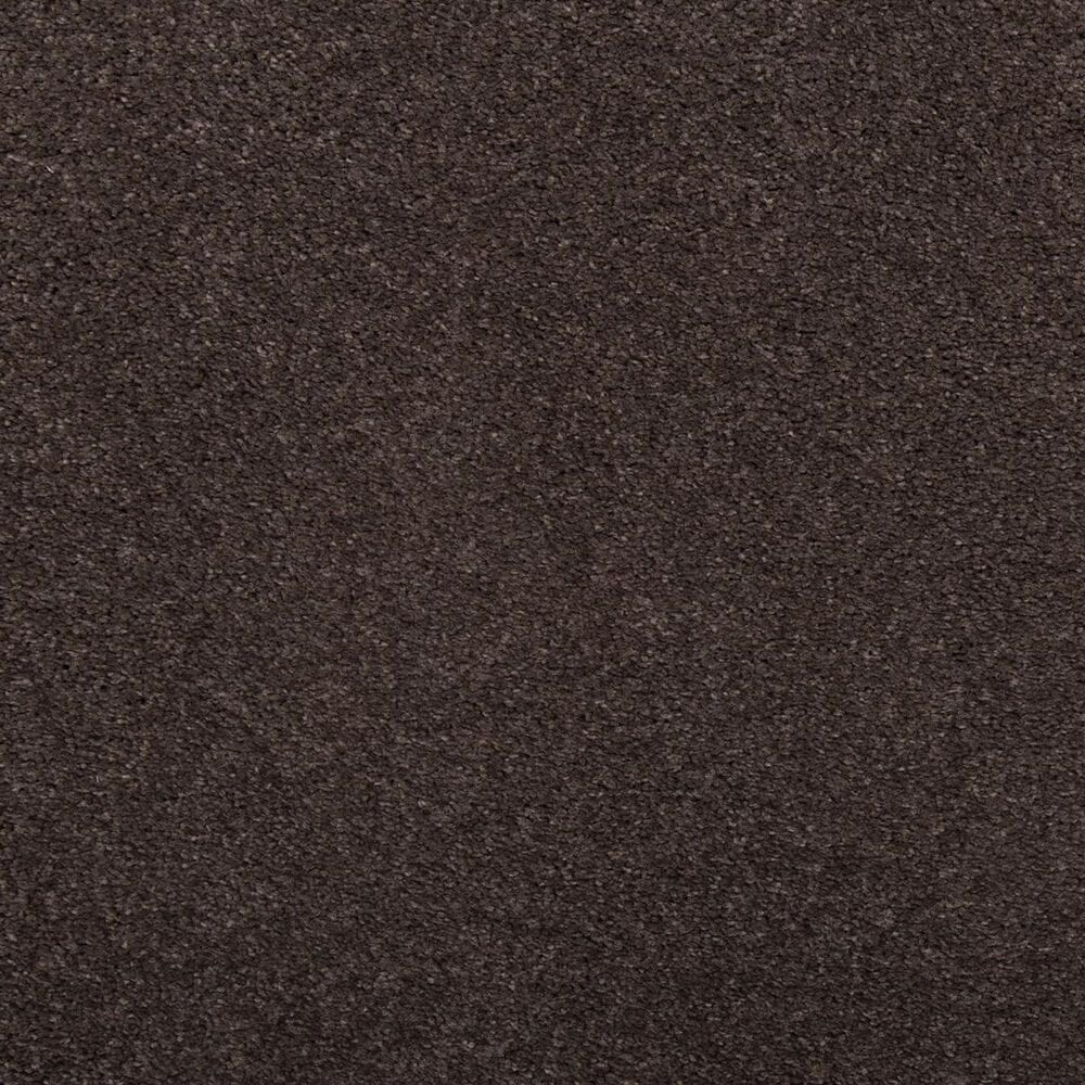 Mohawk Luxuriant Life Carpet in Nocturne, , large