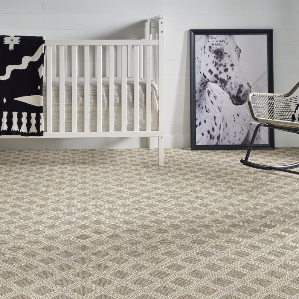 Anderson Tuftex Scout Carpet in Briarwood, , large
